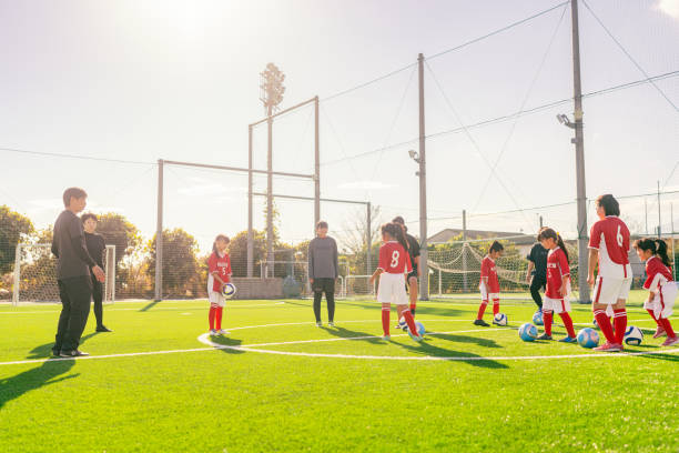 作提供了参 作提供了参